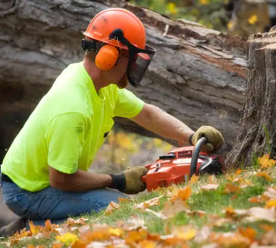 tree services Stedman